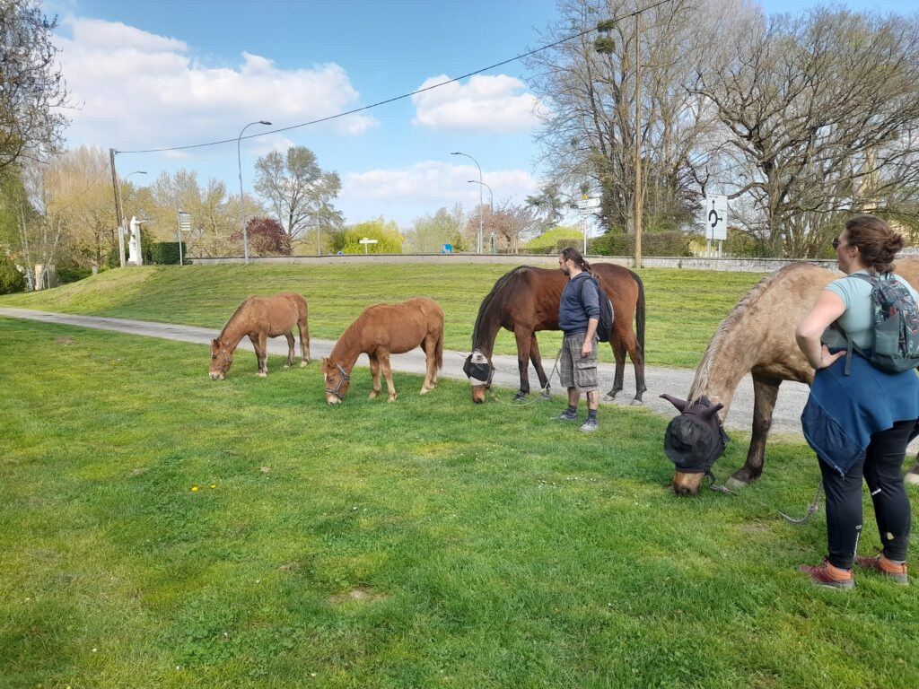 L'équitation Naturelle